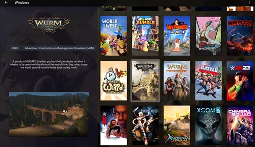 Imported Steam game in LaunchBox for Android