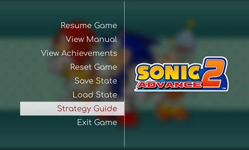 Big Box pause menu showing View Manual and Strategy Guide
